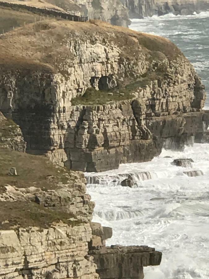 The Wing -Near To The Beaches And Bournemouth University 外观 照片